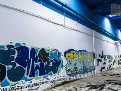 Le pareti bianche invase da murales variopinti